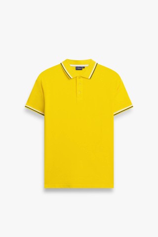 Polo Piquet