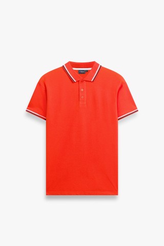 Polo Piquet