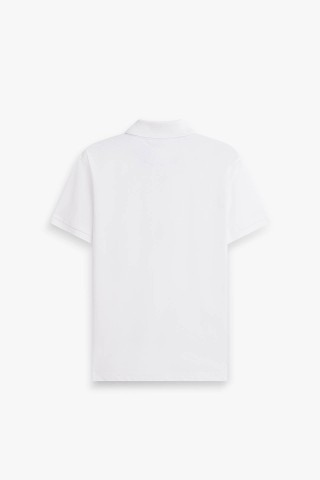 Polo Taschino