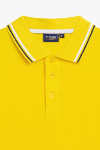 Polo Piquet