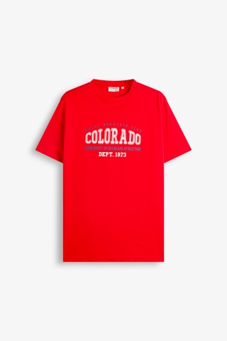 T-Shirt Stampa Lettering