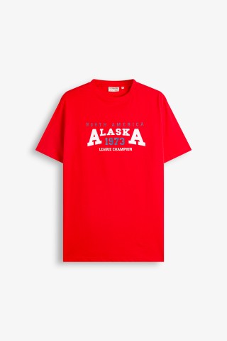 T-Shirt Stampa Lettering