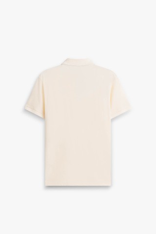 Polo Taschino